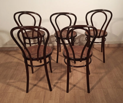Set di cinque sedie in stile thonet drava in legno scuro con schienali curvi e sedute in cannage